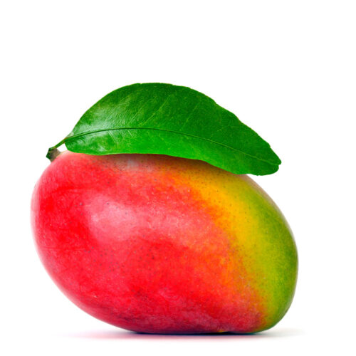 REPARTO DE FRUTAS Y VERDURAS HERMANOS DELGADO, S.L. | Mango de avión